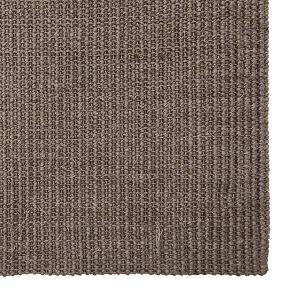 Alfombra de sisal natural marrón 80x250 cm