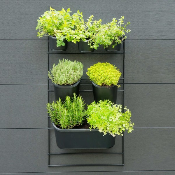 Nature Kit de pared para jardín vertical