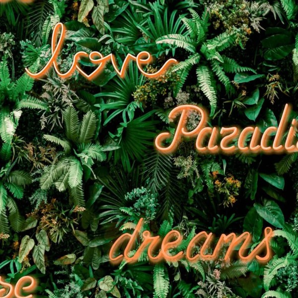 Noordwand Papel pared Good Vibes Neon Letter with Plants verde