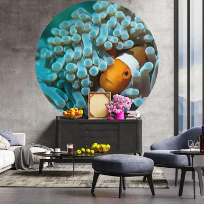 WallArt Papel pintado de pared redondo Nemo the Anemonefish 142,5 cm