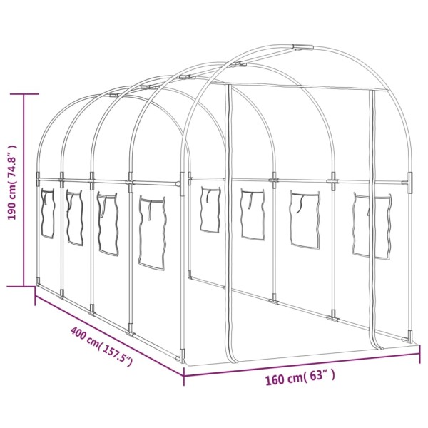 Invernadero PVC acero pintado polvo transparente 160x400x190cm